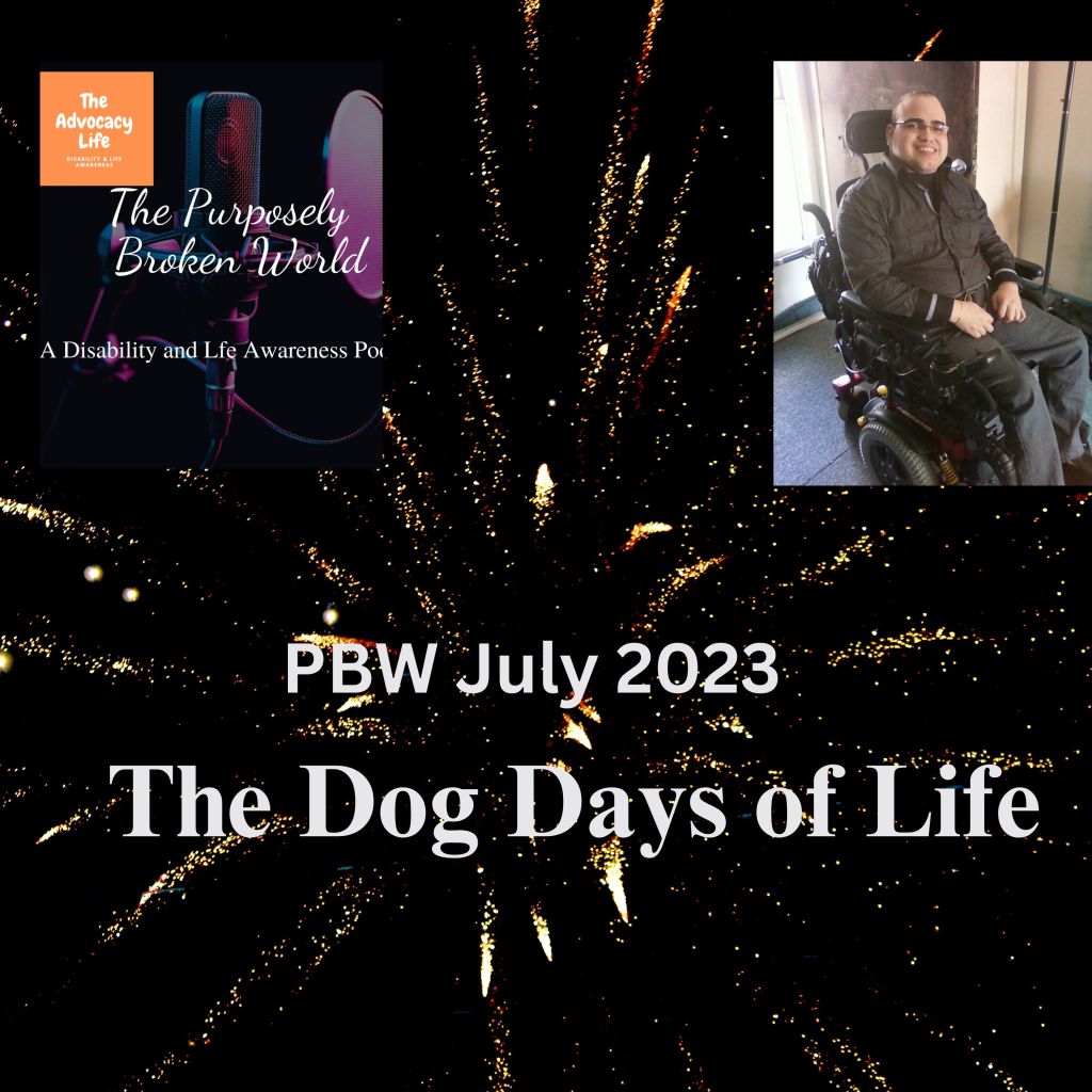 The Dog Days of Life PT&nbsp;1