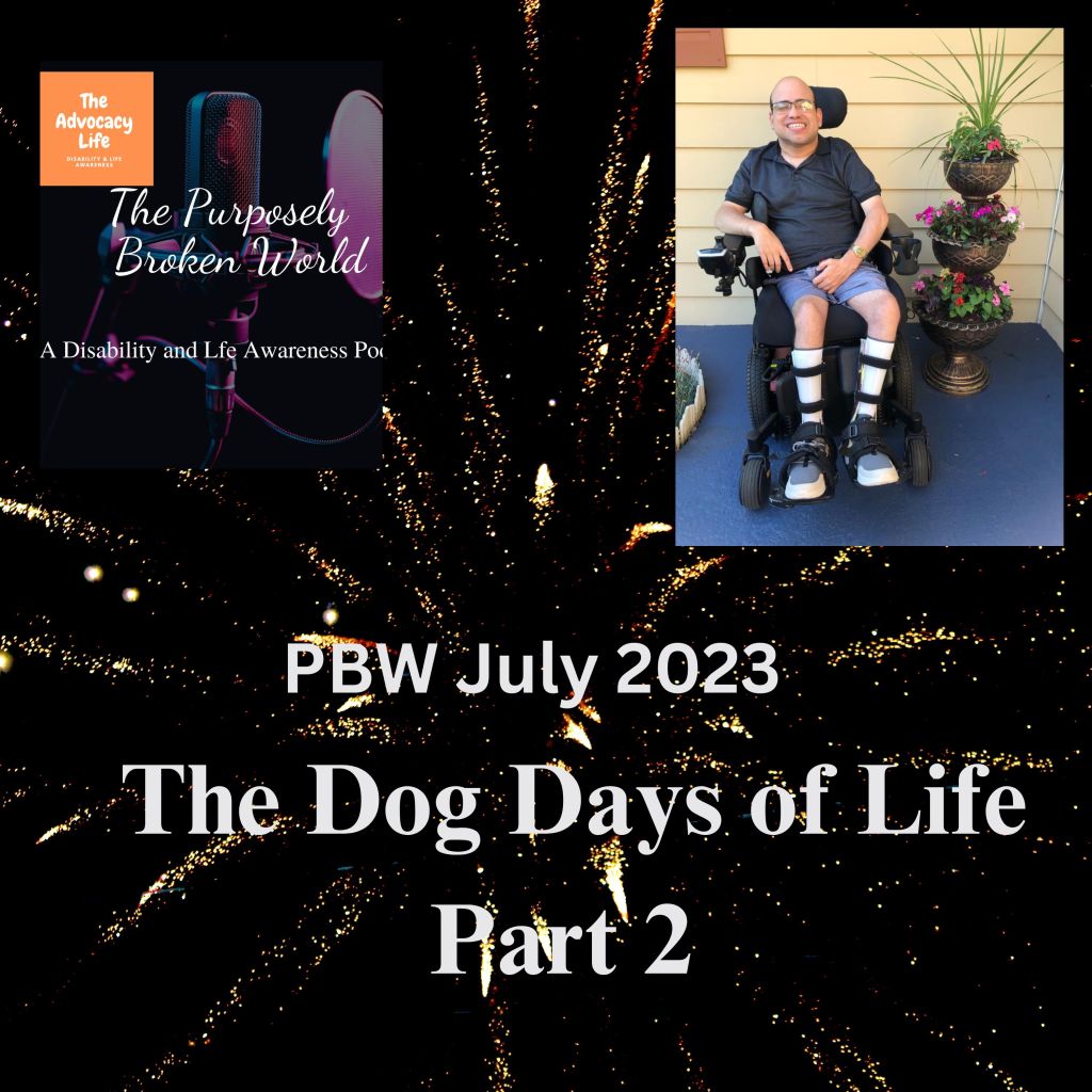 The Dog Days Of&nbsp;Life